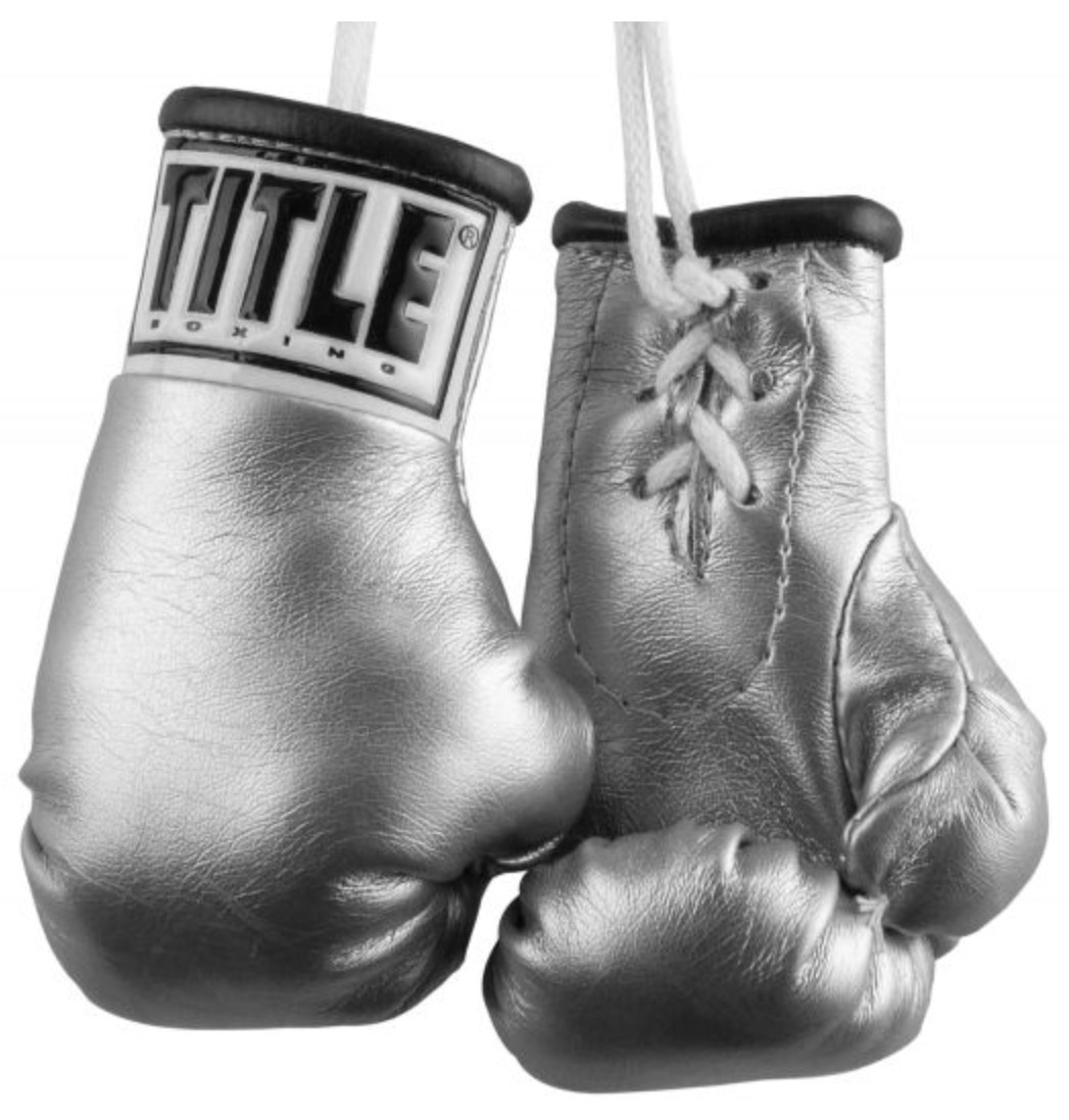 TITLE 3.5” MINI BOXING GLOVES