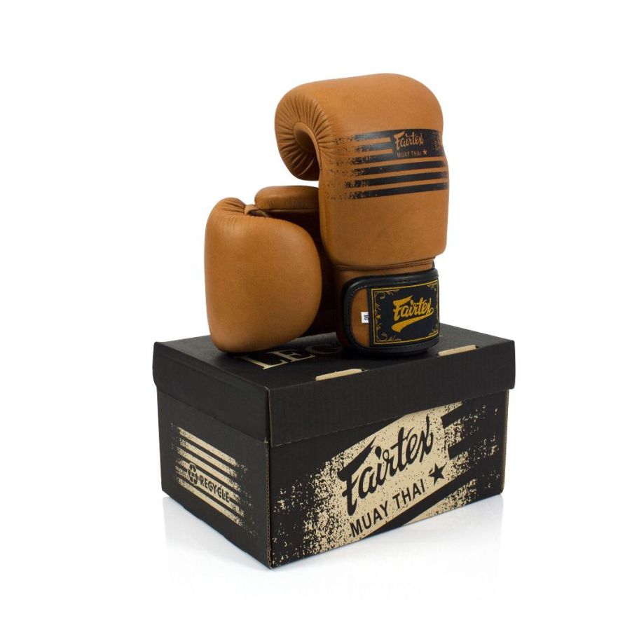 FAIRTEX BGV21 Boxing Gloves [Brown Legacy]