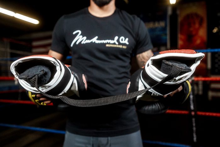 TITLE Boxing Glove Dry Devil 2.0