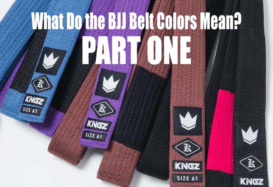 What Do the BJJ Belt Colors Mean