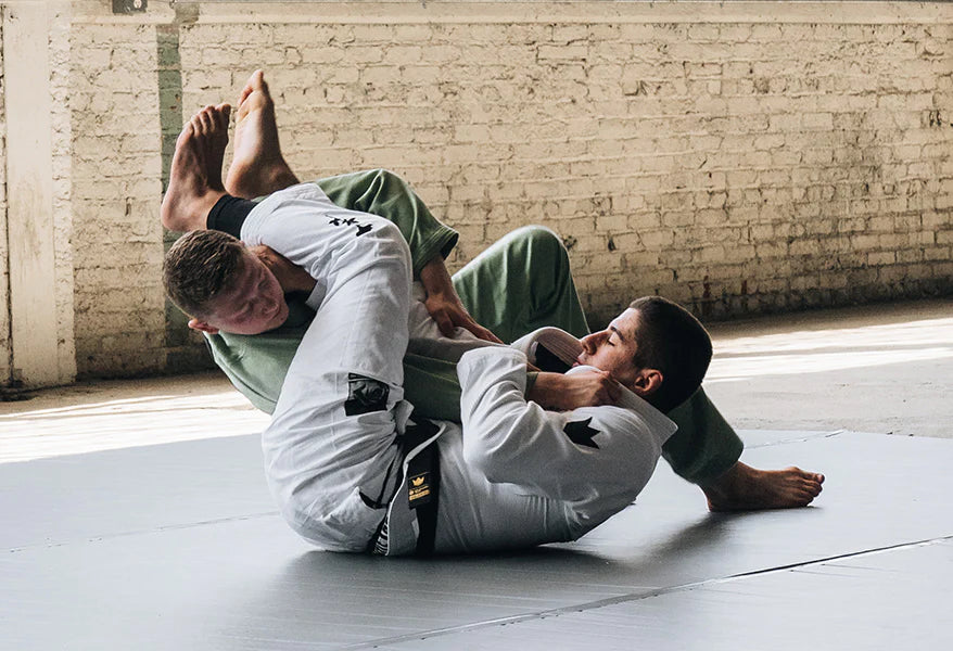 The Complete Armbar Breakdown BY HEATHER RAFTERY ·