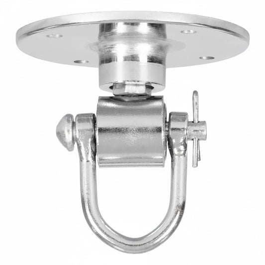 TITLE Boxing Deluxe Pro Swivel