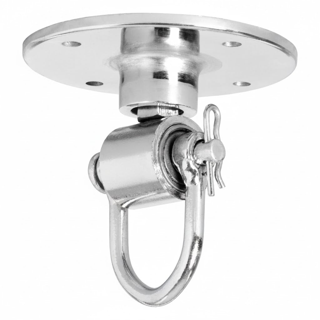 TITLE Boxing Deluxe Pro Swivel