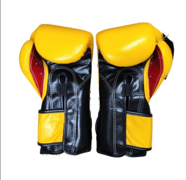 FAIRTEX BGV9 Boxing Gloves [Yellow/Black/Red/Black pipng
